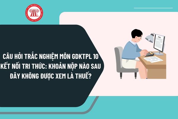 Pháp luật