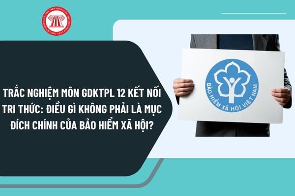 Pháp luật