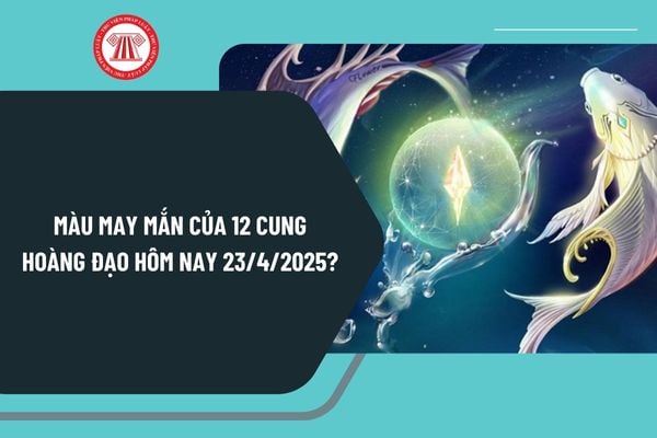 Pháp luật