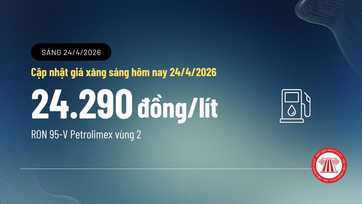 Pháp luật