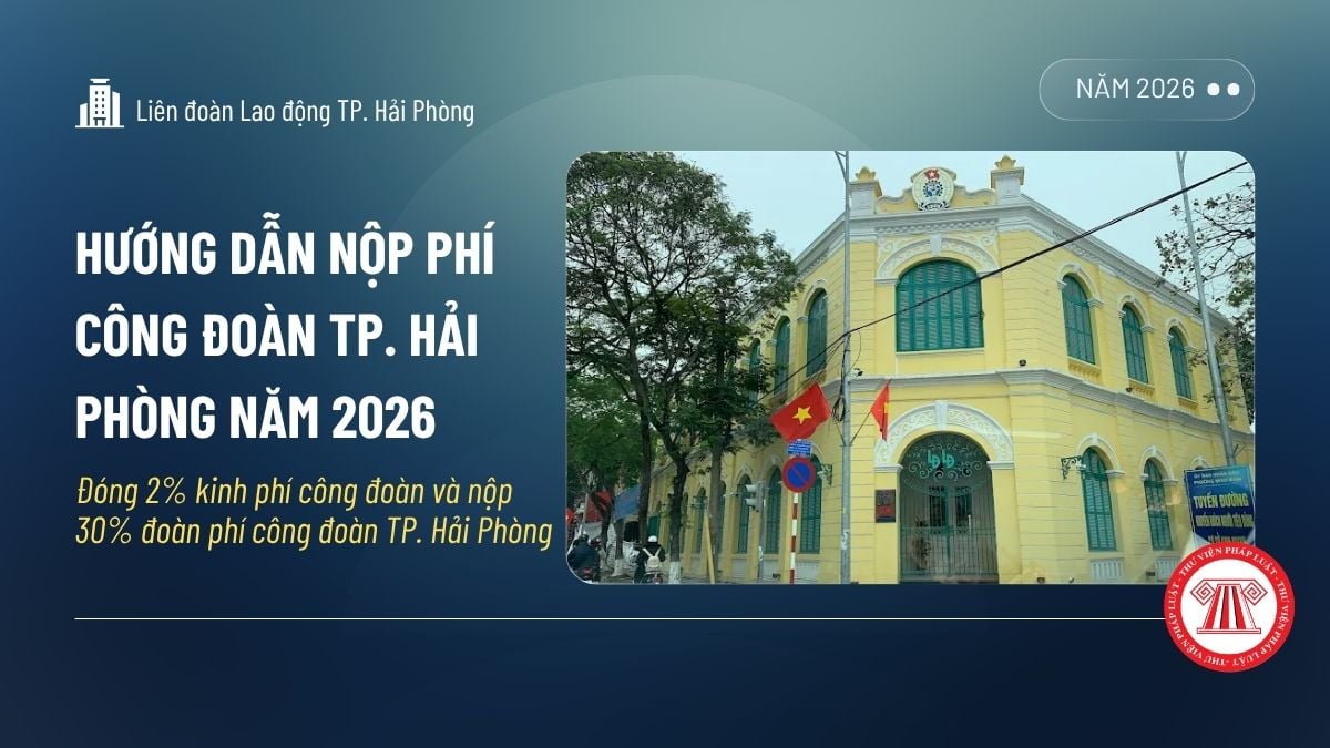 Pháp luật