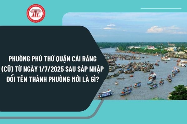 Pháp luật