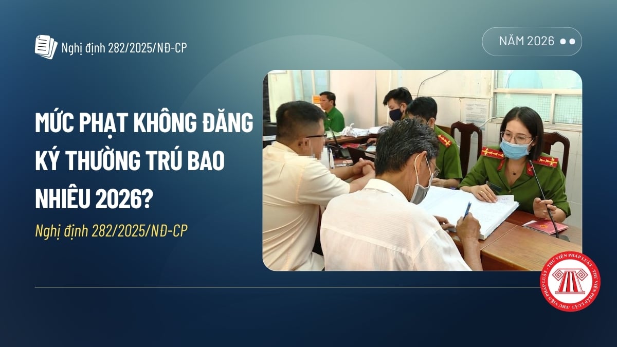 Pháp luật