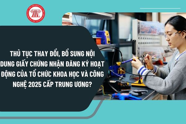 Pháp luật