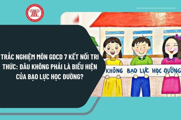 Pháp luật