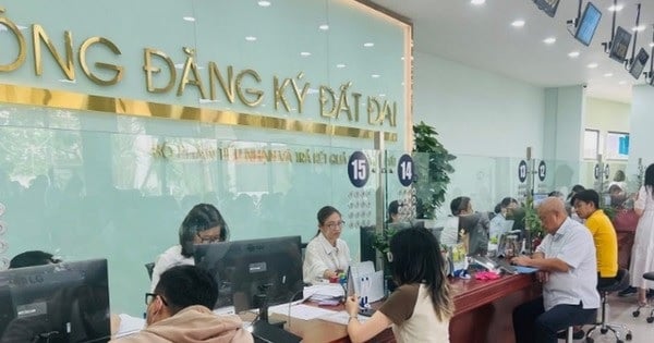 Pháp luật