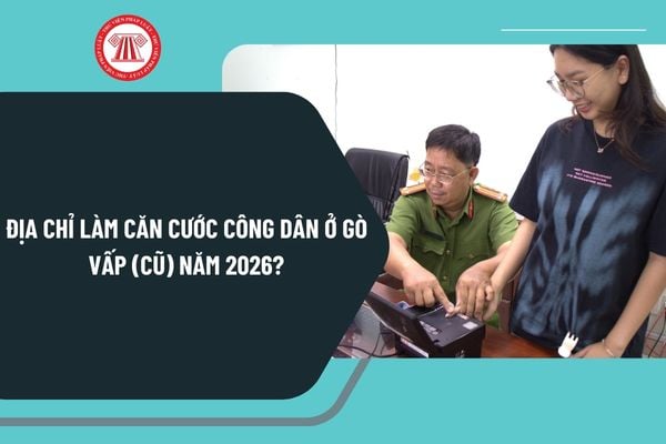 Pháp luật