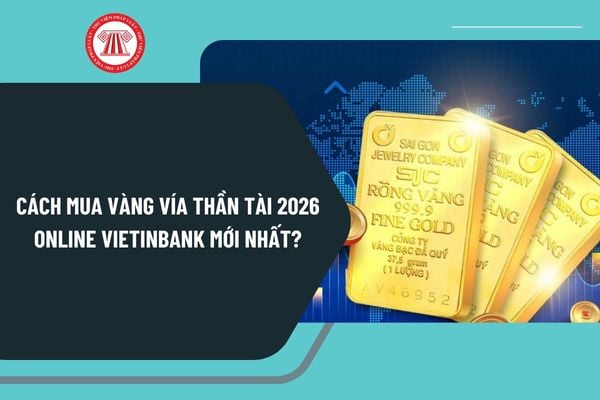 Pháp luật