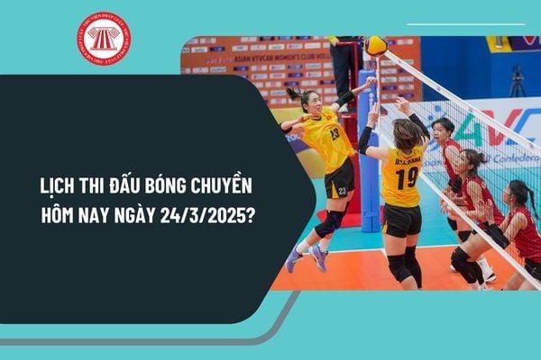 Lịch thi đấu bóng chuyền hôm nay ngày 24 3 2025? Lịch thi đấu bóng chuyền nữ hôm nay giải vô địch Quốc gia Việt Nam?