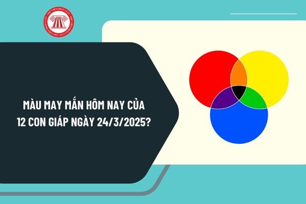 Màu may mắn hôm nay của 12 con giáp ngày 24 3 2025? Màu may mắn hôm nay ngày 24 3 2025 là màu gì?