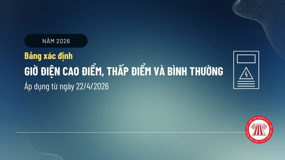 Pháp luật