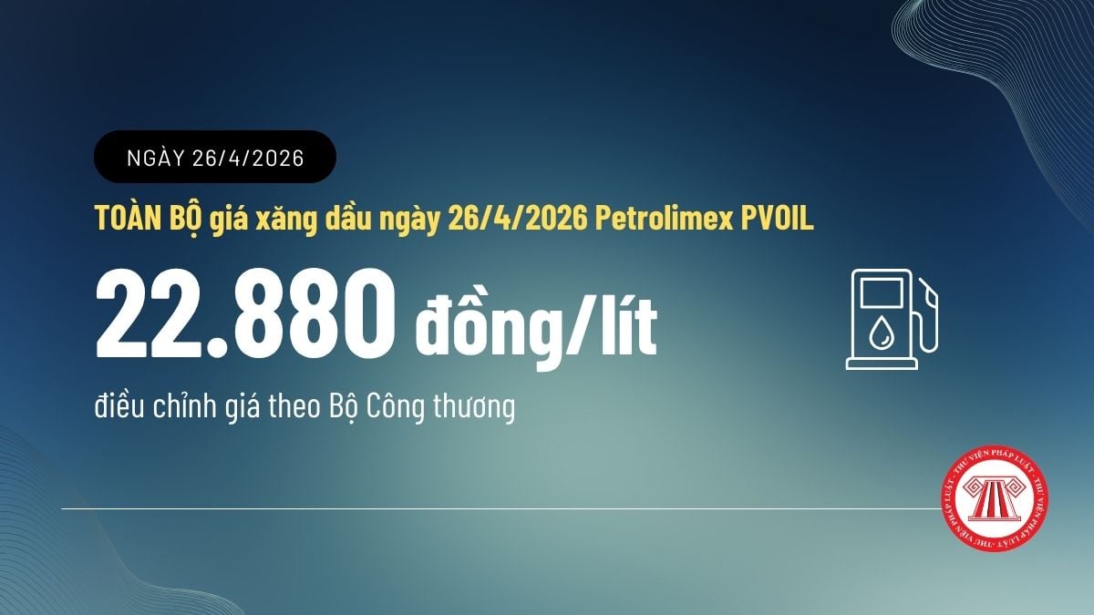 Pháp luật