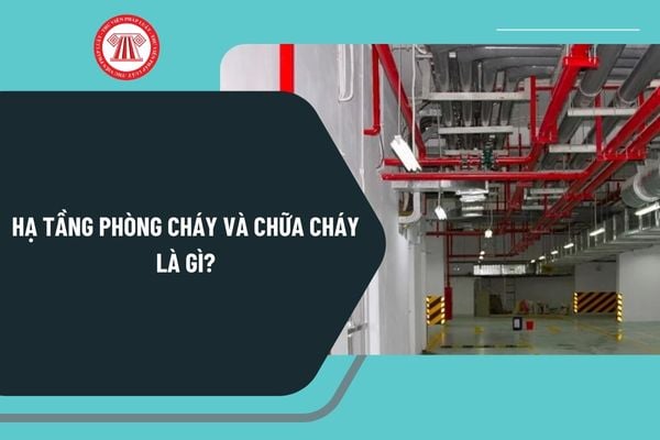 Pháp luật