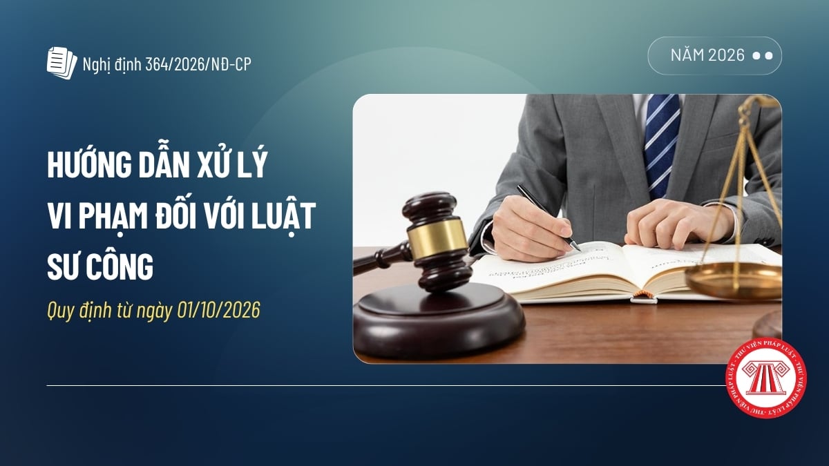 Pháp luật