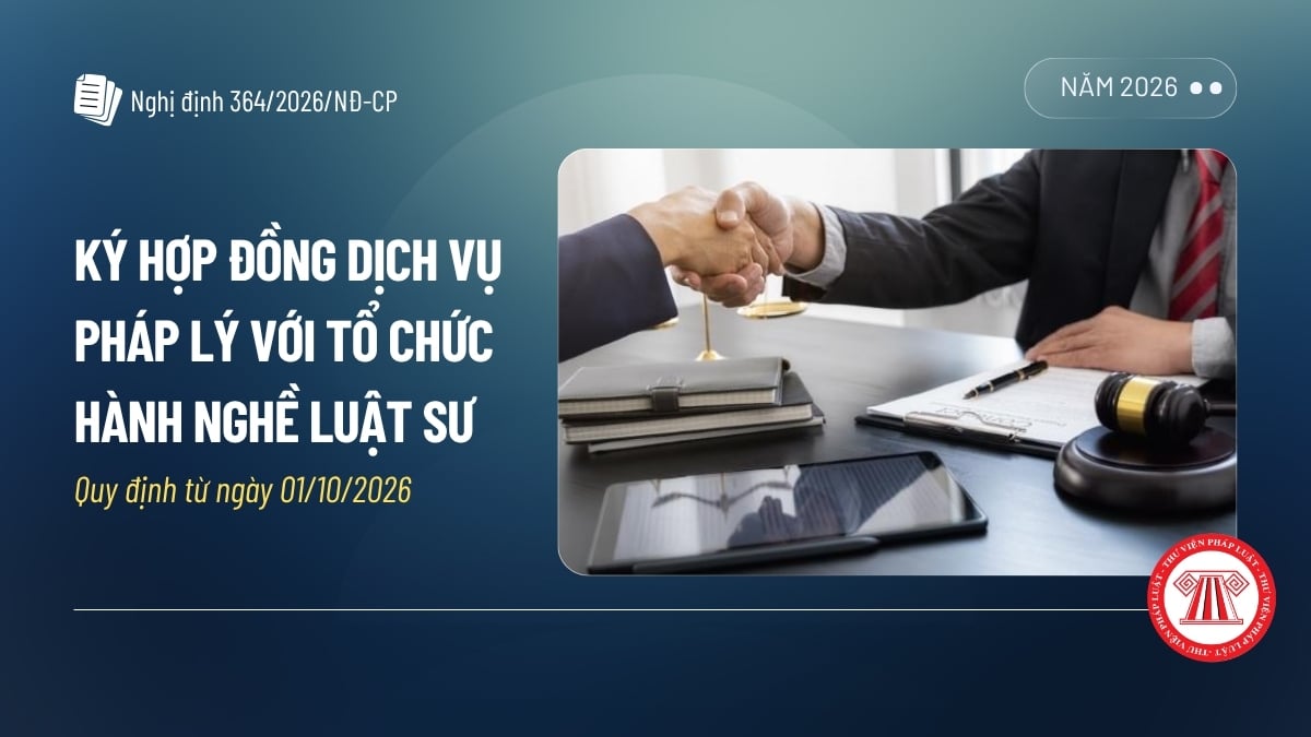 Pháp luật