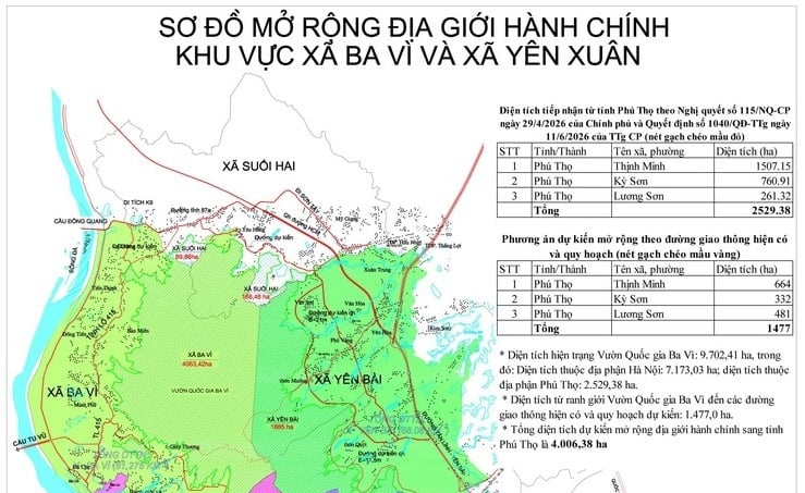Pháp luật