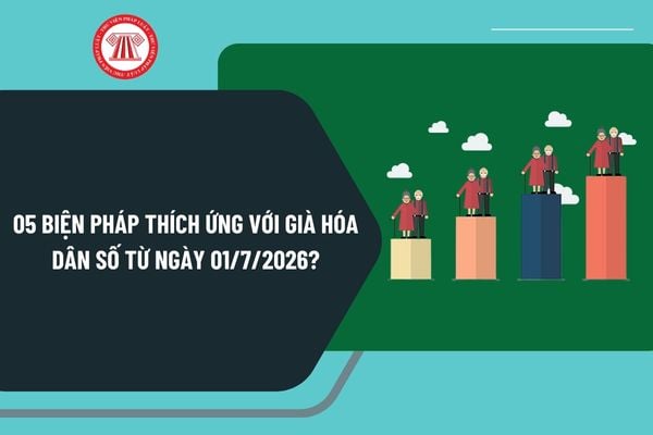 05 Biện pháp thích ứng với già hóa dân số từ ngày 01/7/2026? Chăm sóc người cao tuổi được quy định ra sao?