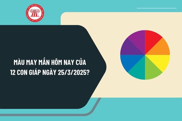 Màu may mắn hôm nay của 12 con giáp ngày 25 3 2025? Màu may mắn hôm nay ngày 25 3 2025 là màu gì?