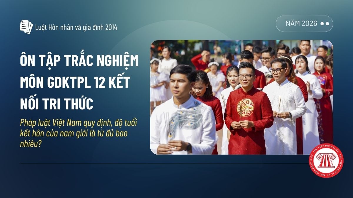 Pháp luật