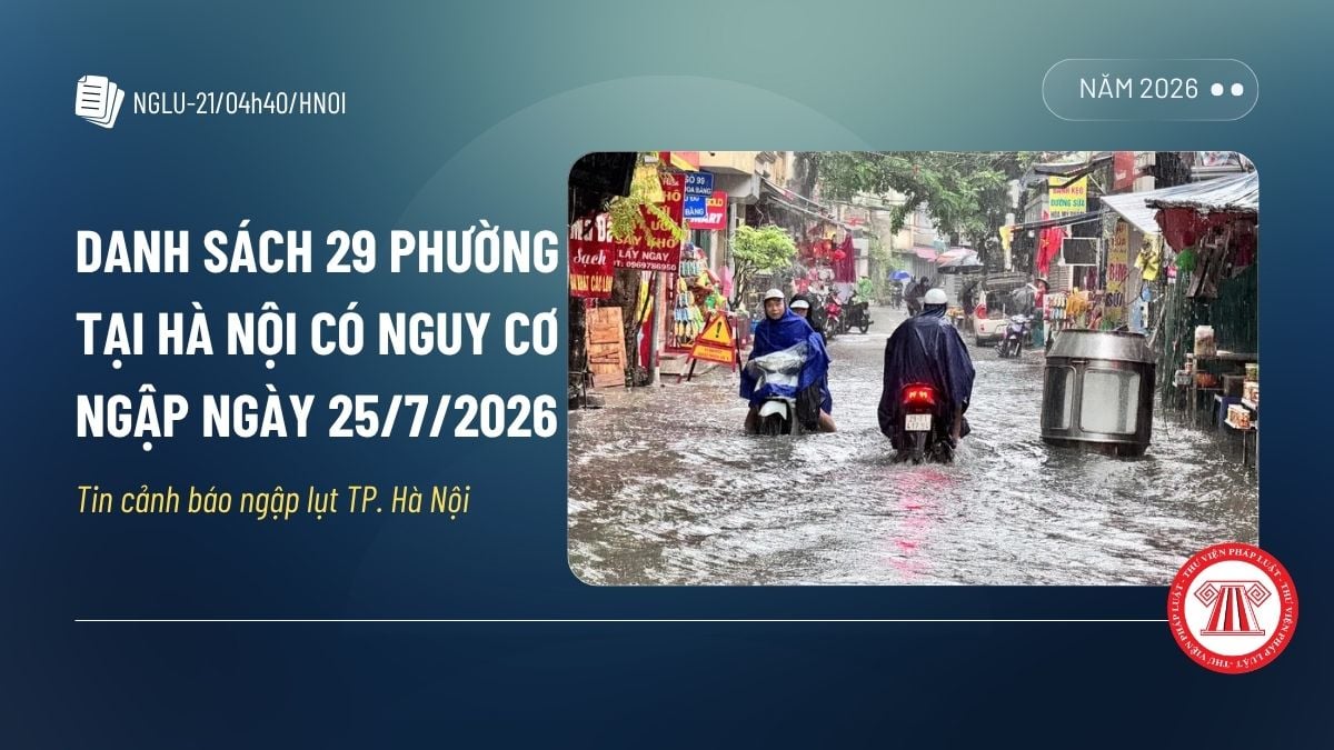 Pháp luật