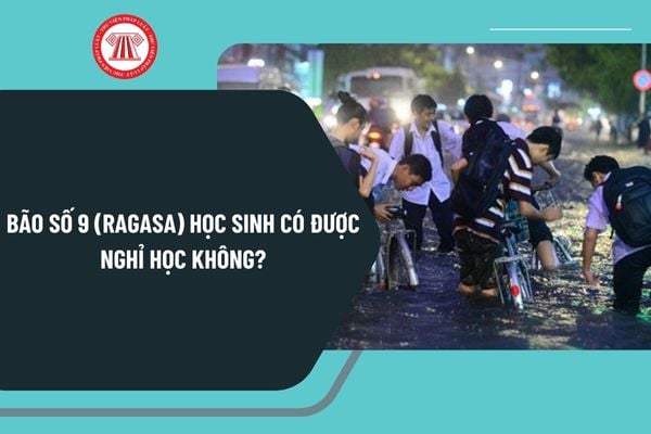 Pháp luật