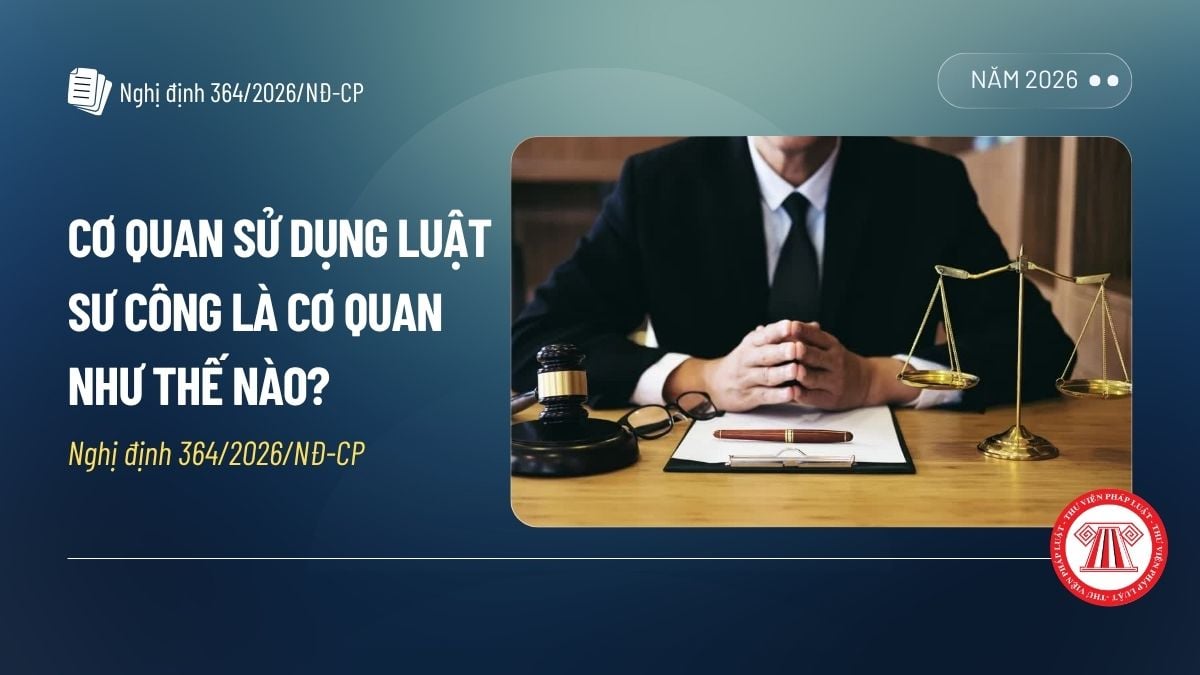 Pháp luật