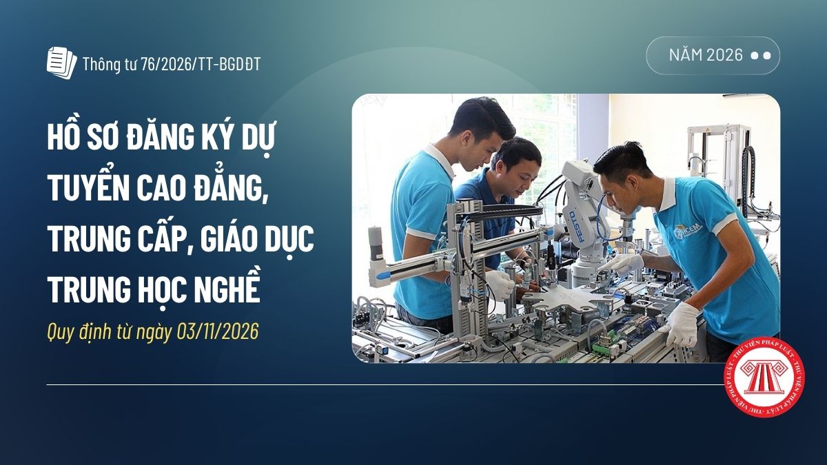 Pháp luật