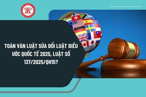 Pháp luật