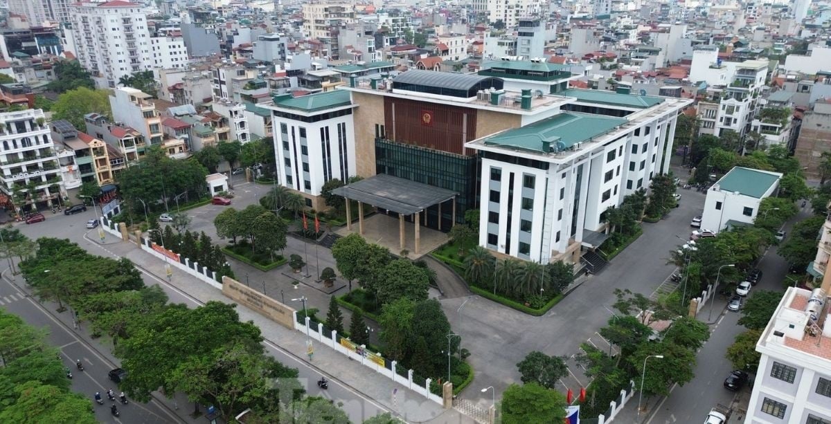 Pháp luật