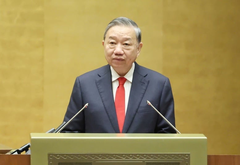 Pháp luật