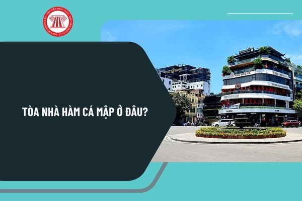 Pháp luật