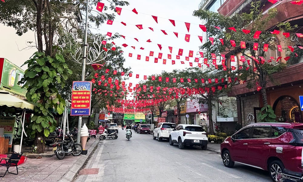 Pháp luật