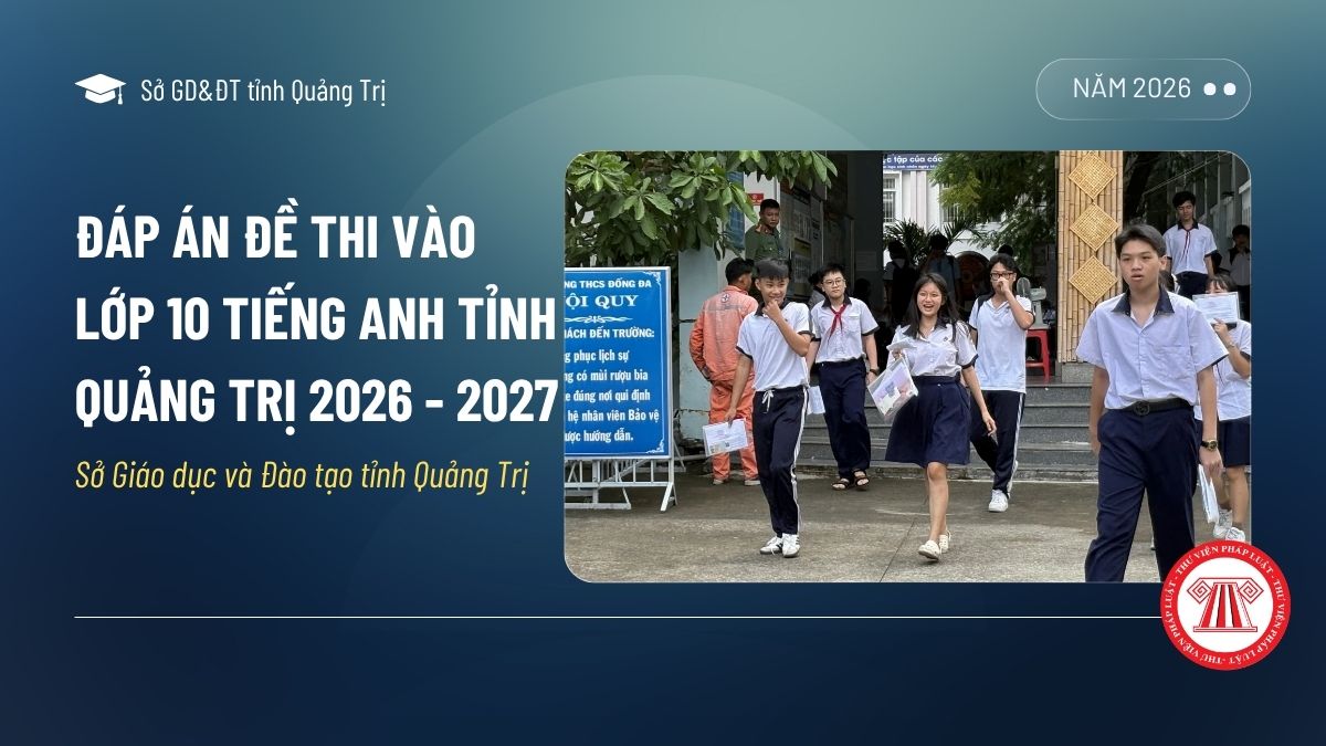 Pháp luật