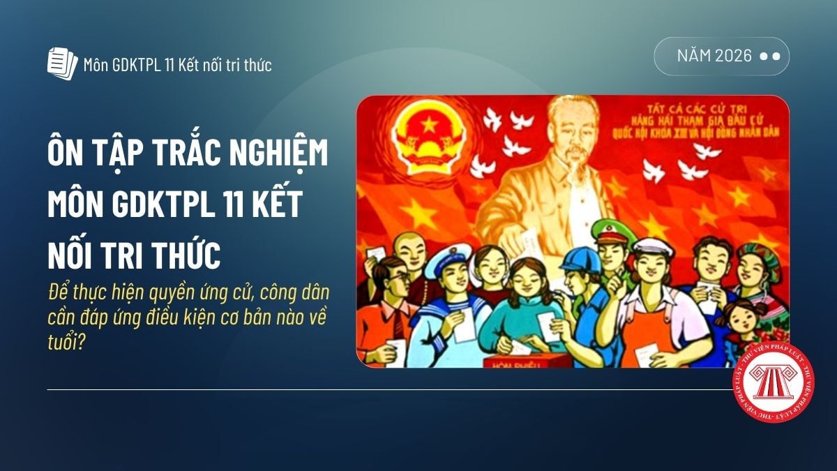 Pháp luật