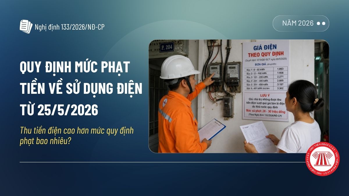 Pháp luật