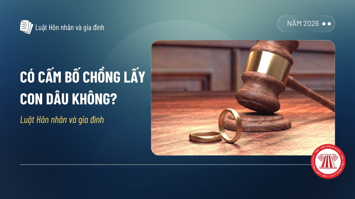 Pháp luật