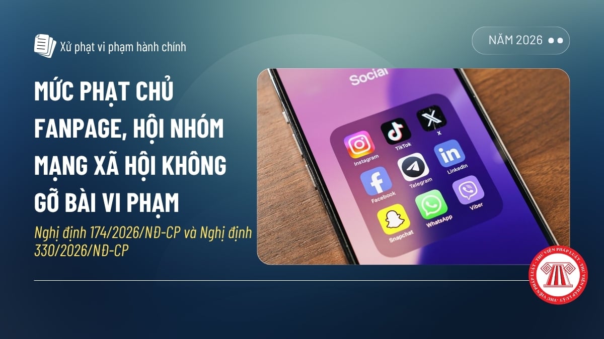 Pháp luật