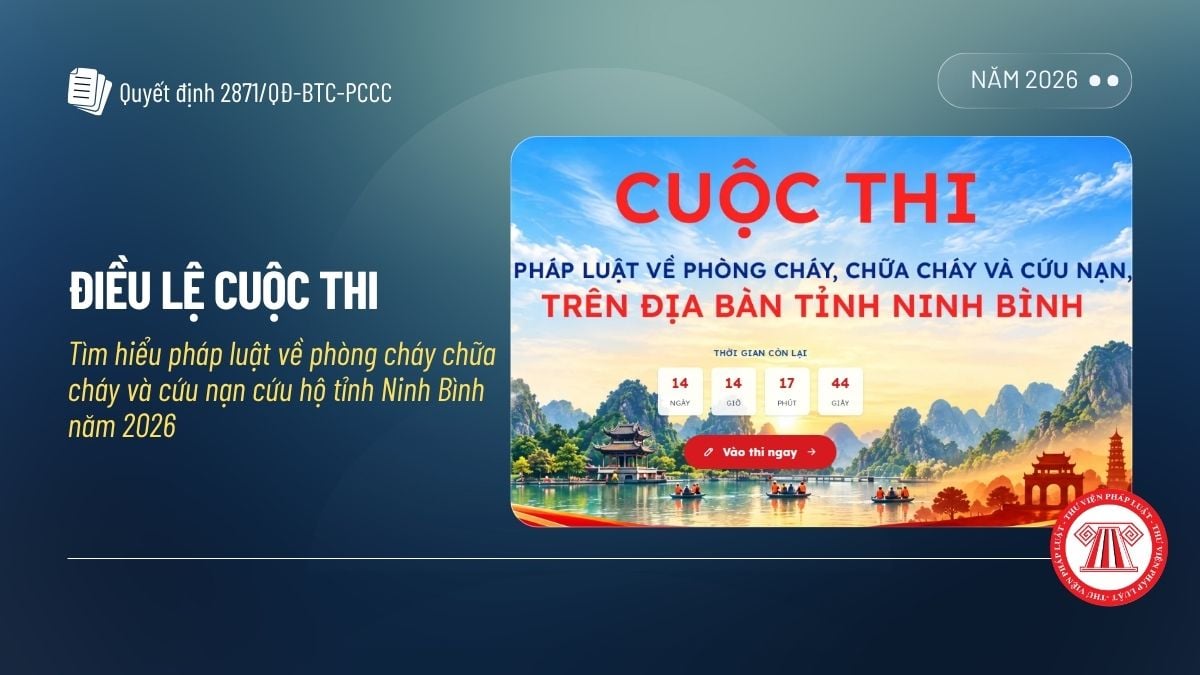 Pháp luật