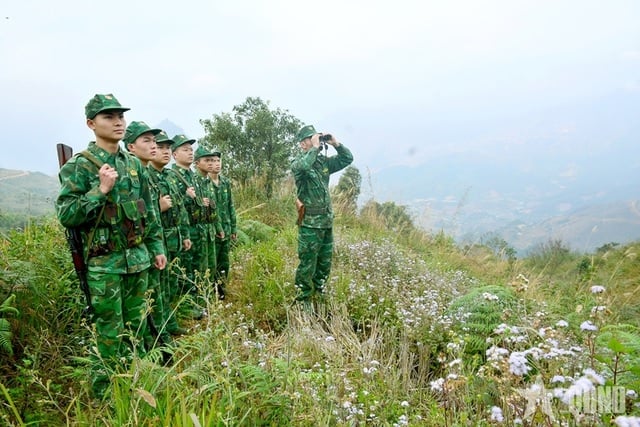 Pháp luật