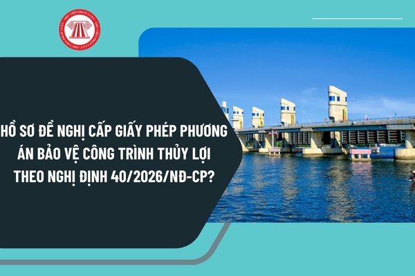 Pháp luật