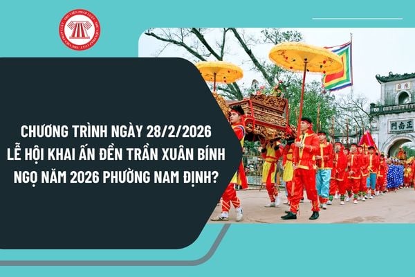 Pháp luật