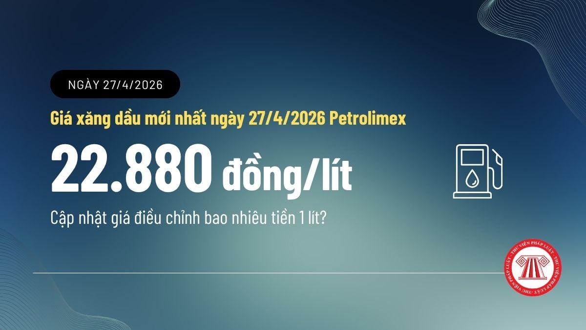 Pháp luật