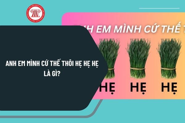 Pháp luật