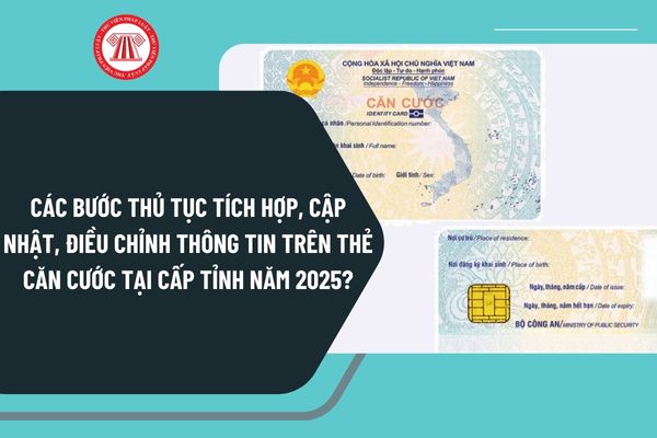 Pháp luật