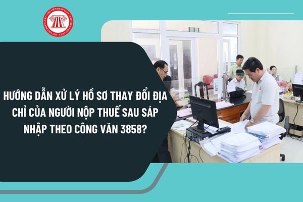 Pháp luật