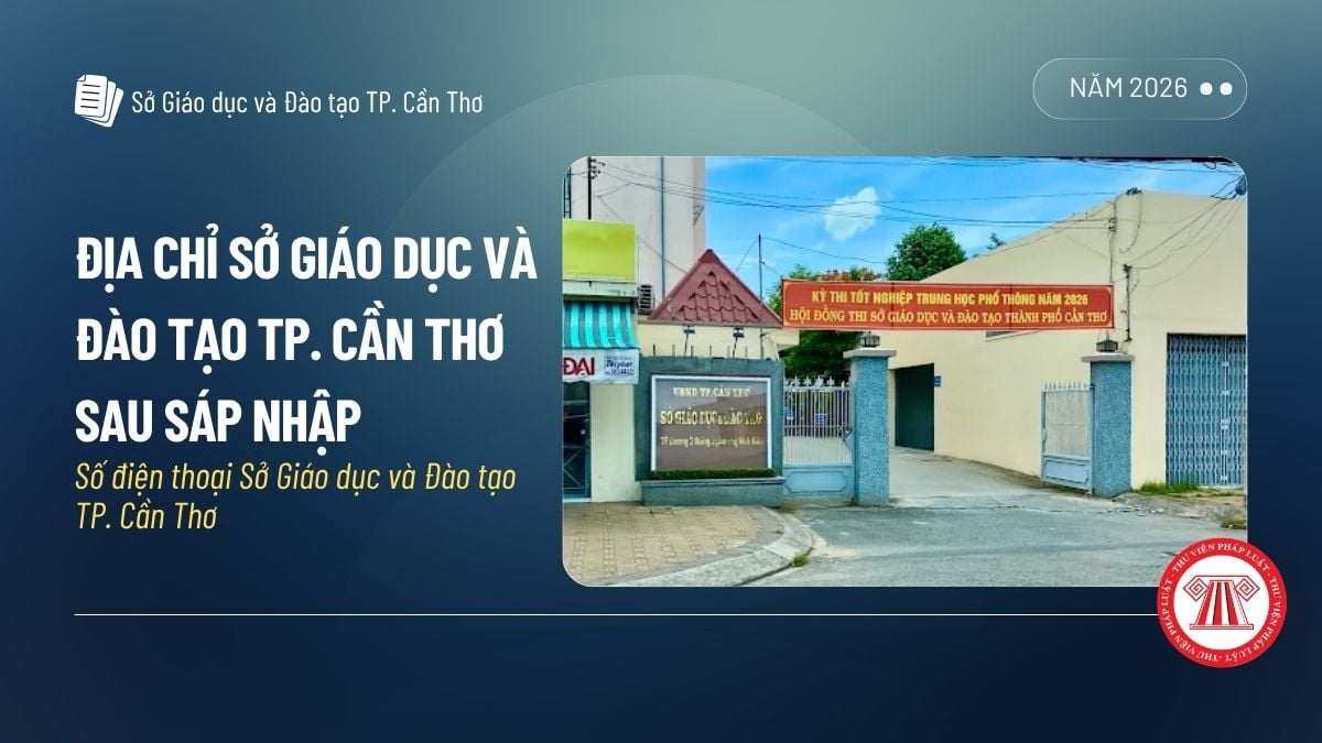 Pháp luật