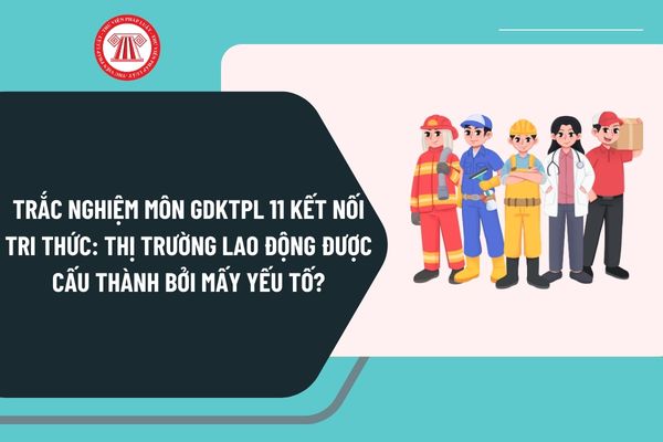 Pháp luật