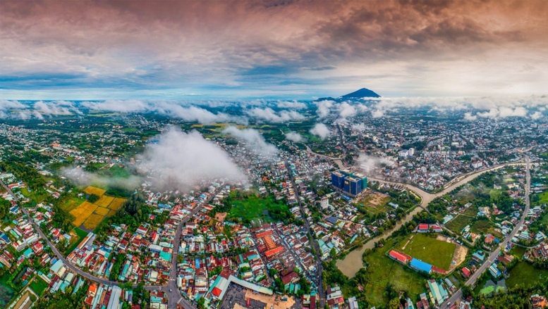 Pháp luật
