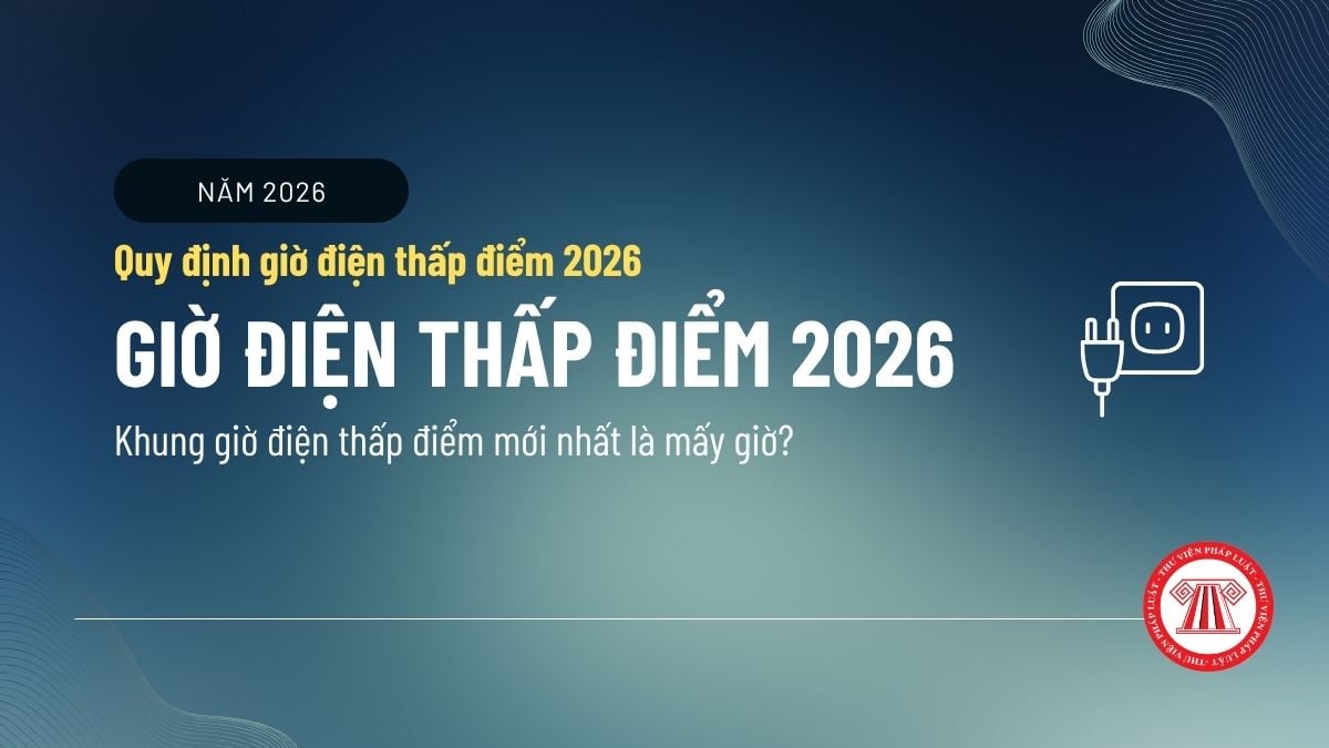 Pháp luật
