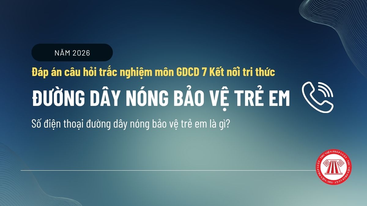 Pháp luật